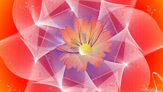 �1362169 �������(a): ����������:1920x1080